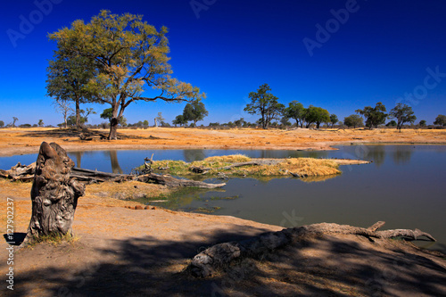 Water hole in Africa. Tipical African ladscape with dark blue sky. Water lake in Botswana. Trees with pond.