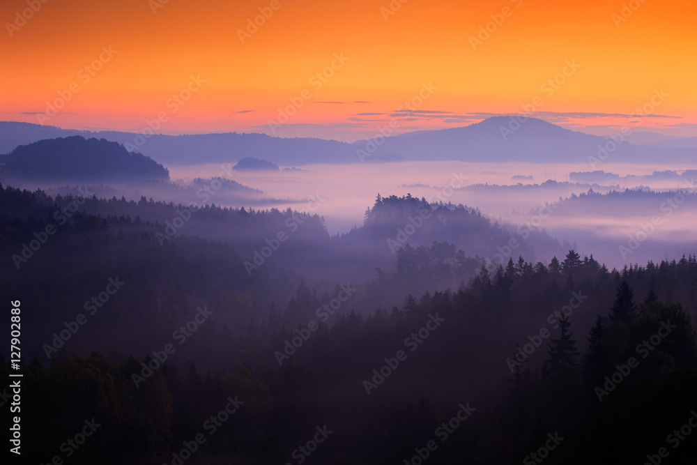 Cold misty foggy morning with twilight sunrise in a fall valley of Bohemian Switzerland park. Hills with fog, landscape of Czech Republic, national park Ceske Svycarsko. Beautiful foggy landscape.