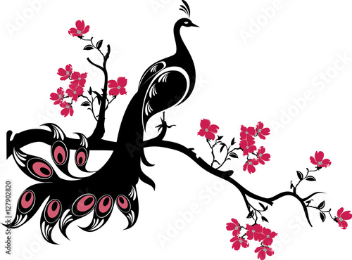 tree branches with birds