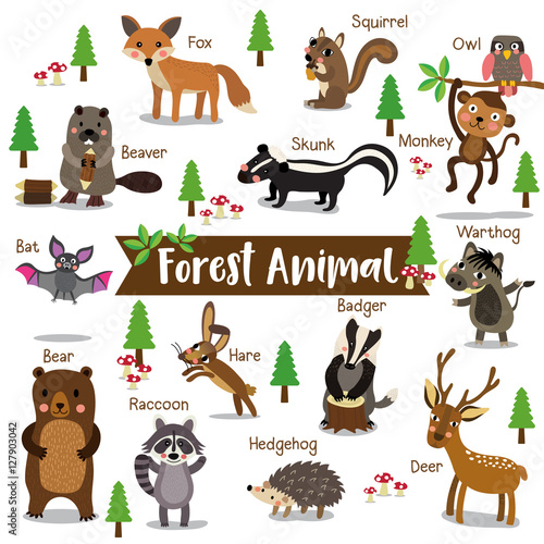 Forest Animal cartoon on white background with animal name. Bat. Owl. Fox. Deer. Bear. Raccoon. Monkey. Squirrel. Hedgehog. Skunk. Warthog. Beaver. Hare. Badger. Vector illustration.