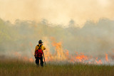 Wildfire in Everglades, grass in flame and fume. fireman with flame in the wild nature. fire fighter working with wildfire. Wildlife scene from nature. Forest in big fire in February, Florida, USA
