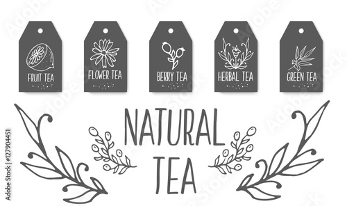 Herbal tea tags collection. Organic herbs and wild flowers. Hand sketched fruits  berries illustration.