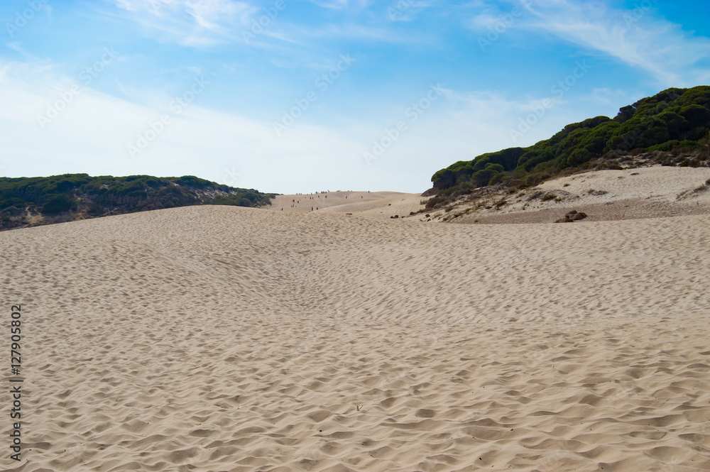 Dunes beach Bolonia Cadiz Spain