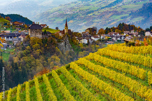 Eisacktal im Herbst,  Weinberg mit Herbstfarben waehrend der Toerggelezeit in Suedtirol