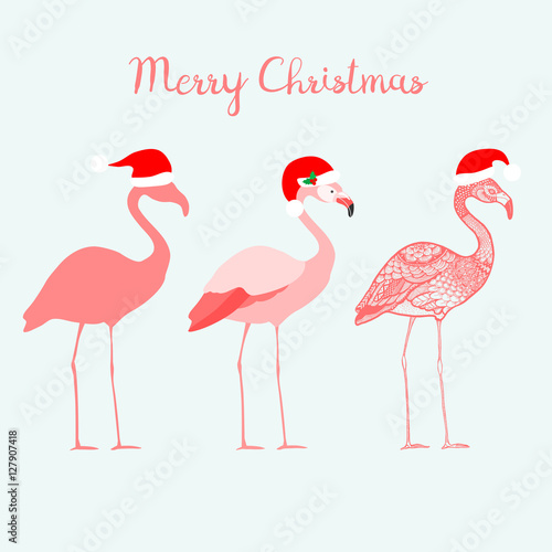 Three flamingos with Santa Claus hats, isolated vector illustration