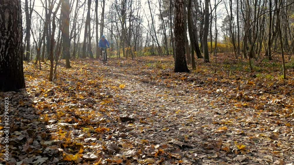 Cyclist rides in the park, for a healthy lifestyle.