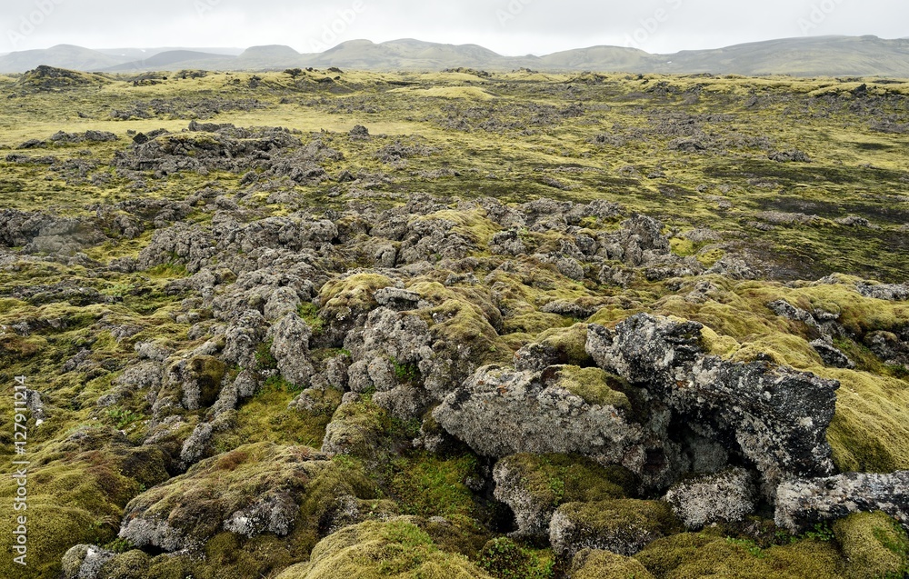 Lava terrain in Iceland. Rocky terrain in Iceland. Lava terrain in Iceland. Rocky terrain in Iceland.