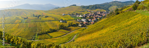 Niedermorschwih  Alsatian vineyards  Alsace  France  Europe  Autumn  Mountain 
