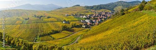Fotografía Niedermorschwih, Alsatian vineyards, Alsace, France, Europe, Autumn, Mountain,