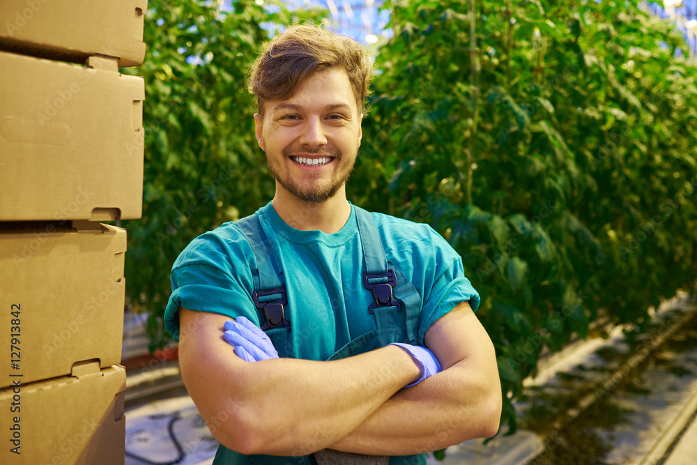 Friendly farmer at work in greenhouse. Friendly farmer at work in greenhouse.