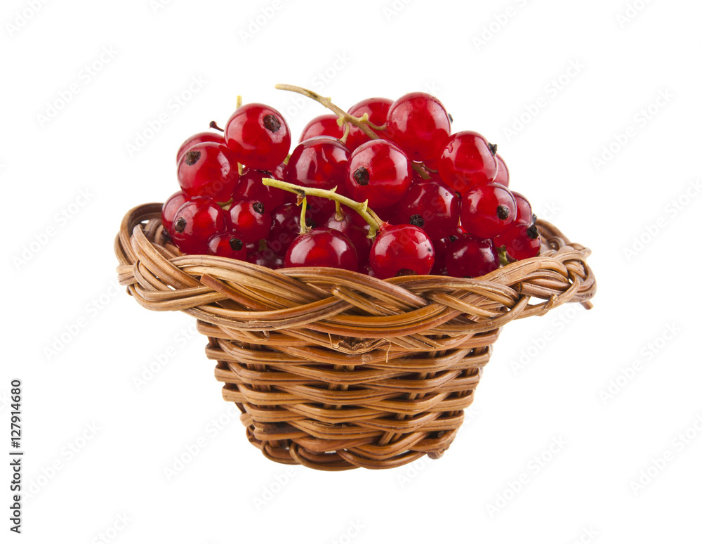red currant red currant