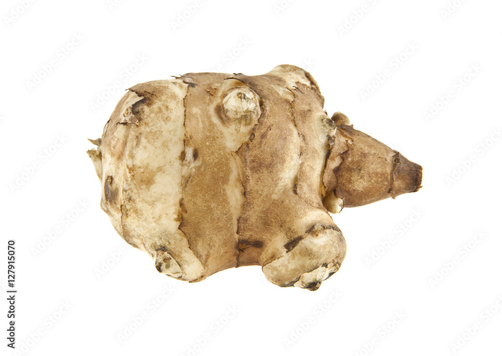 Jerusalem artichoke Jerusalem artichoke