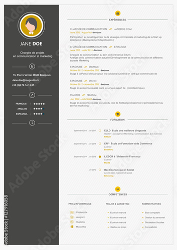 cv , template avec police arial