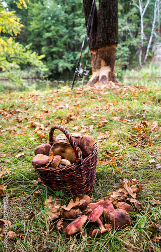 Mushrooms at the basket on grass background, landscape background