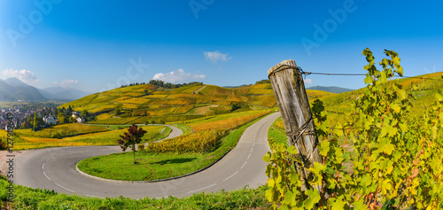Wine Road, Vineyards of Alsace in France