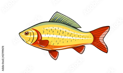 Fish Fishing River vector illustration