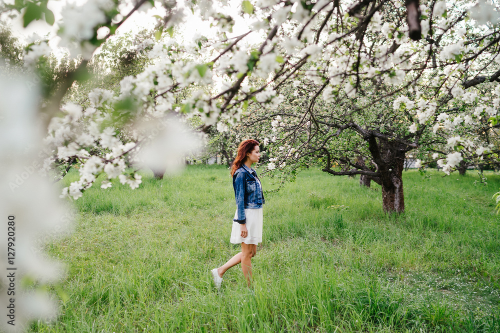 Young pretty caucasian woman in white dress and denim jacket walks in a blooming spring garden on sunset. Youth, freshness, beauty, romance, happiness concept. Young pretty caucasian woman in white dress and denim jacket walks in a blooming spring garden on sunset. Youth, freshness, beauty, romance, happiness concept.