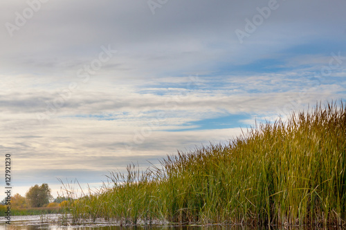 river Bay volga