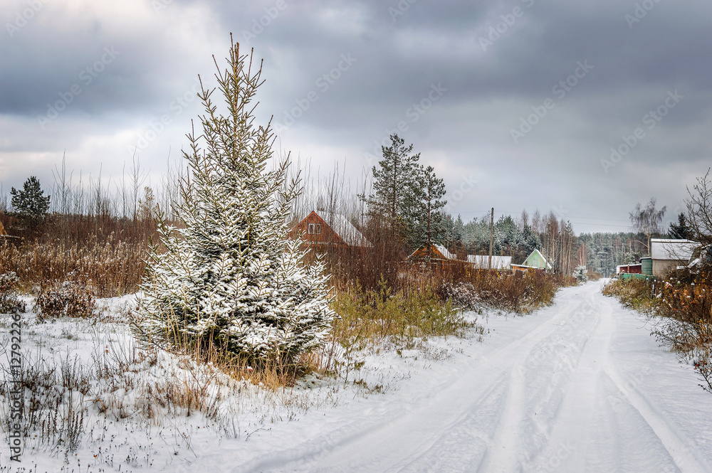 Obraz premium Winter day in the village. Russia