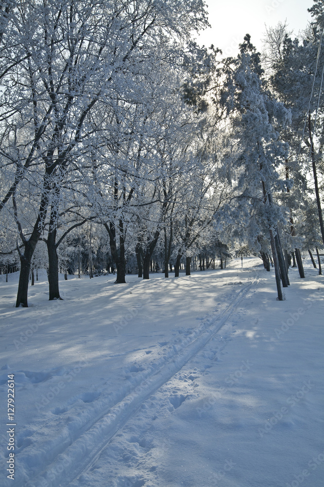 snowy, frosty landscape snowy, frosty landscape