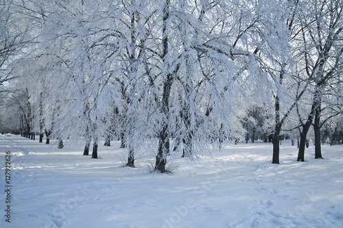 snowy, frosty landscape