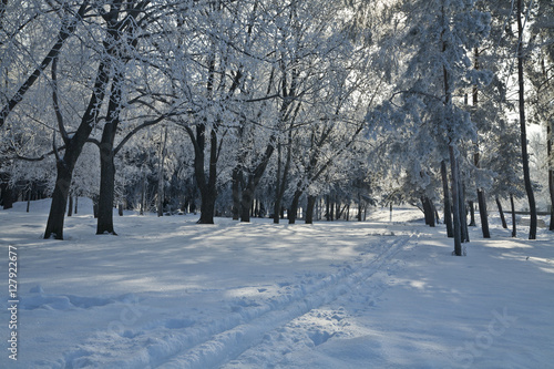 snowy, frosty landscape © Valerii Zan
