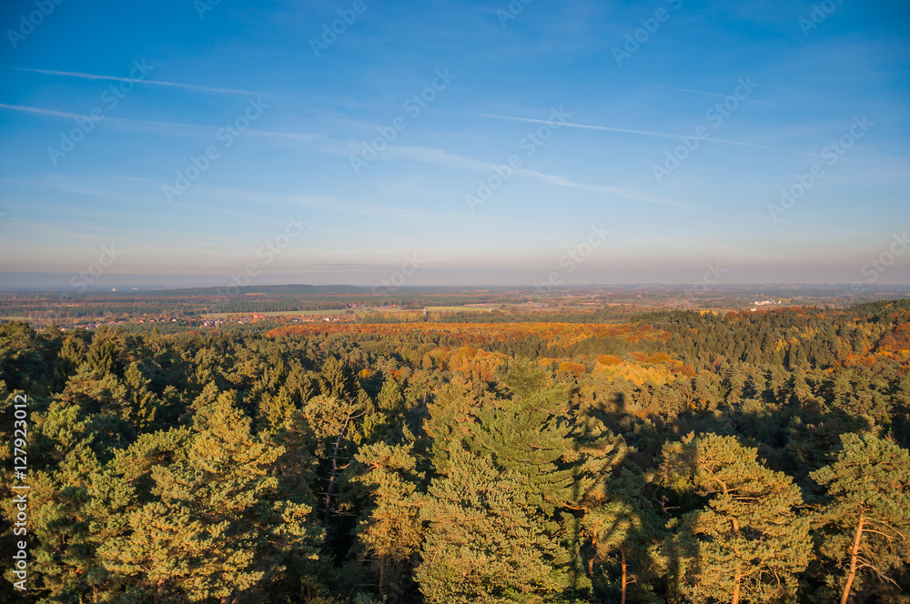 Herbst in der Haard Herbst in der Haard