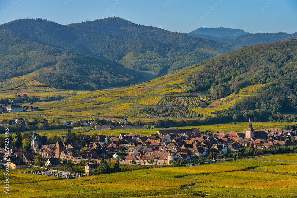 Vineyard and townscape Kaysersberg, Alsace in France
