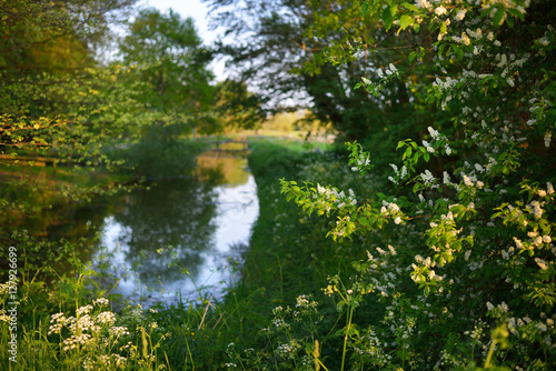 Peaceful river surrounded by green trees and bushes at sunset. Cronesteyn park, Leiden, the Netherlands. photo