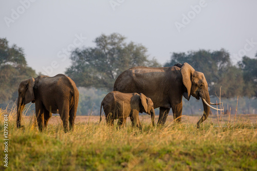 Zambia - NP Lower Zambezi