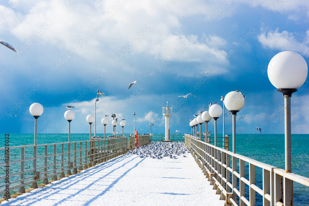 sea and blue sky. Sea birds sitting on pier. winter beach. Winte