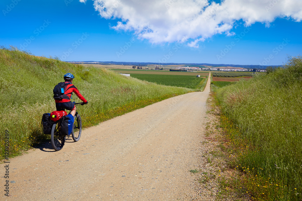 Biker at Via de la Plata way Andalusia Spain