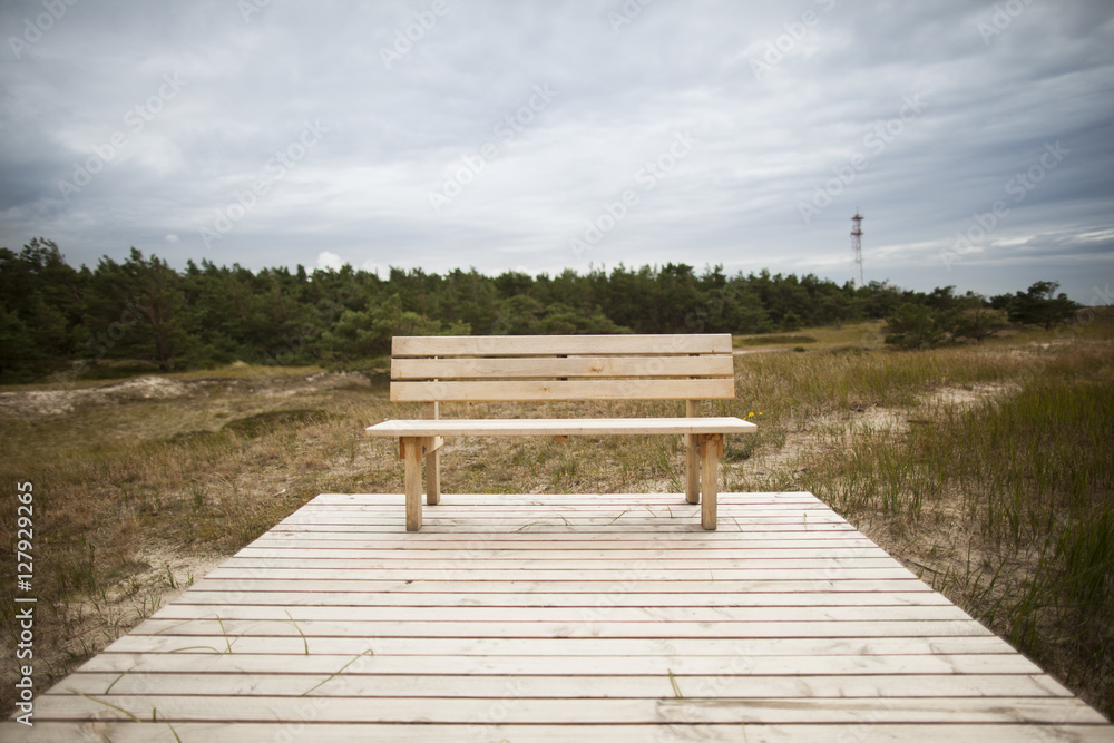 Holzbank in freier Natur, Prerow