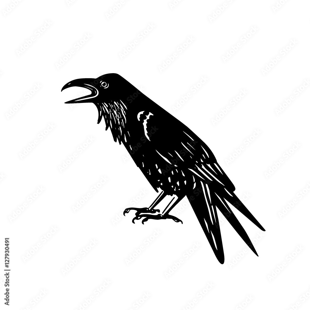 Fototapeta premium Hand drawn raven