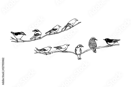 Canvas Print Hand drawn birds