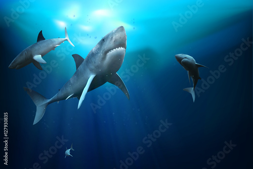 Sharks in the ocean. 3D illustration. © silvae