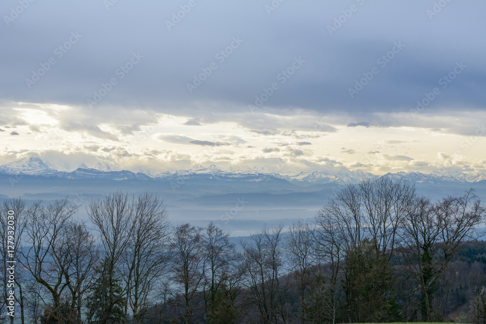 Obraz premium Natur mit Aussicht auf Berge bei Sonne im Wald 