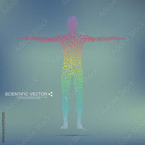 Structure molecule of man. Abstract model human body DNA . Medicine, science and technology. Scientific Vector for your design.