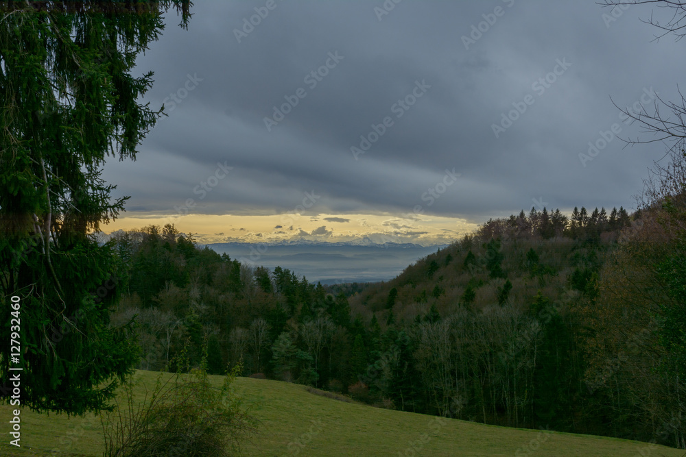 Obraz premium Natur mit Aussicht auf Berge bei Sonne im Wald