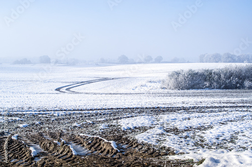 Winter mood, tracks in the snow