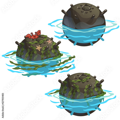 Outdated underwater mine with seaweed and crab