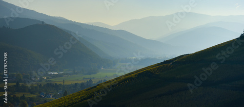 Alsace Vineyards, in autumn, France photo