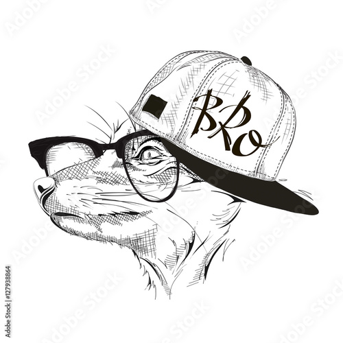 Portrait of fox in hip-hop hat. Vector illustration.