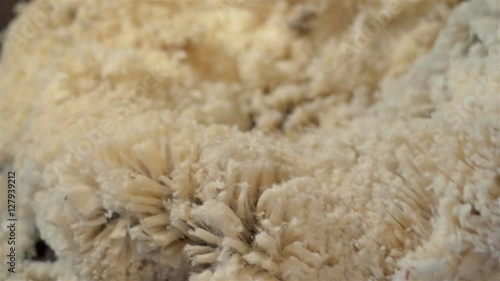 Close-up of the hand of a shearer shearing the wool off a merino sheep in the shearing shed on an australian farm. photo