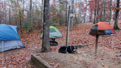 Campsite at Pickett State Park photo