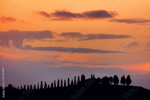 Real Tuscany Sundown Silhouettes landscape