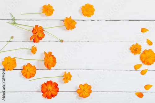 orange summer flowers on white wooden background