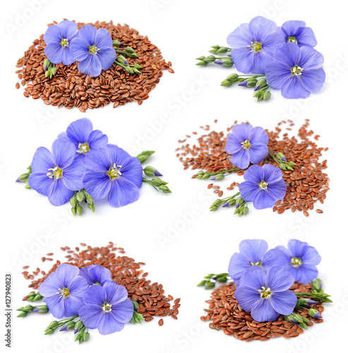 Collection of flax seeds with flowers