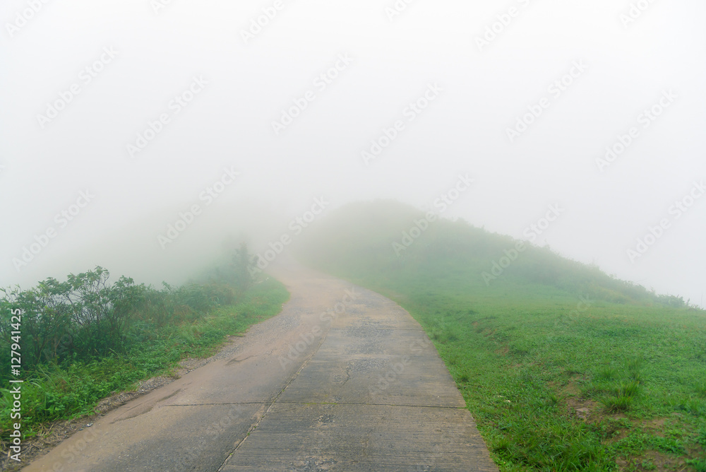 Road in fog on top mountaion Road in fog on top mountaion