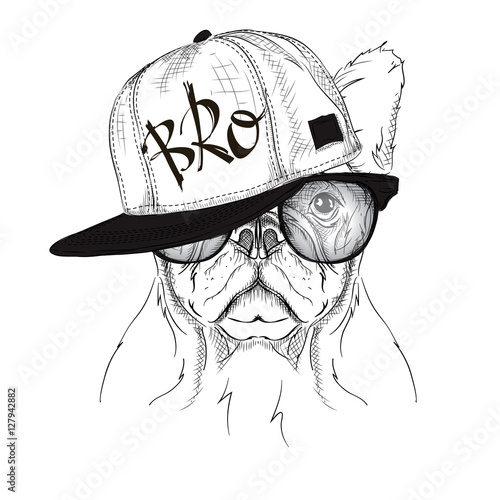The poster with the image dog portrait in hip-hop hat. Vector illustration.